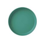 Plastic Reusable Serving Plate - Image 6