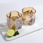 Home Zest Water Glasses Set of 5