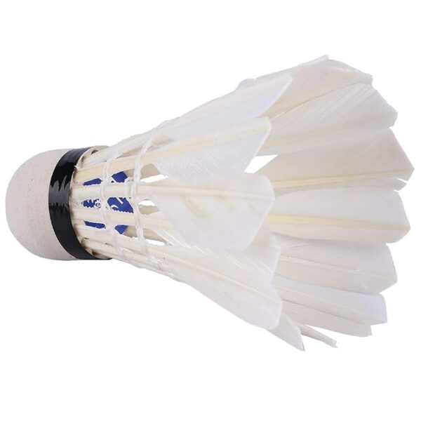 Shuttlecock (3Pcs)