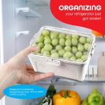 PET Storage Box - Image 6