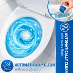 Toilet Bowl Cleaner - Image 4