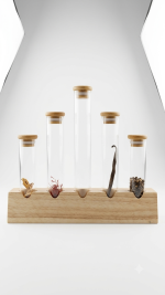 5-Piece Test Tube Spice Rack Set with Wooden Base - Image 4